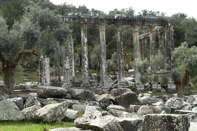 Foto le colonne dell'antico tempio di zeus a euromos era un'antica città della caria anatolia in turchia