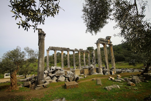 ユーロモスの古代ゼウス神殿の柱は、トルコのカリア・アナトリアの古代都市でした