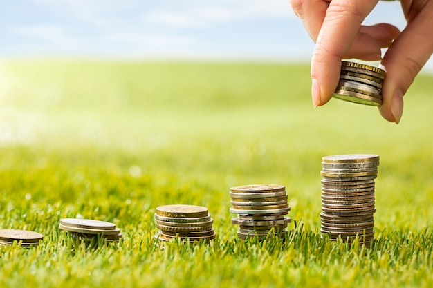 The columns of coins on grass