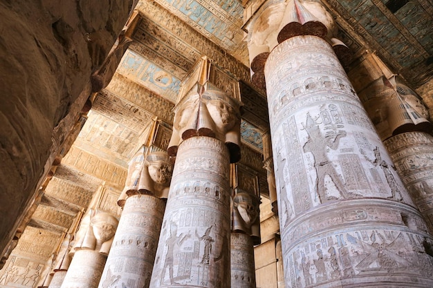 Photo columns in denderah temple qena egypt