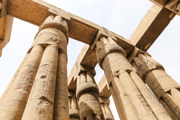 Columns in Luxor Temple Luxor Egypt