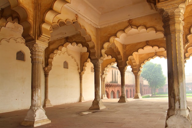 Columns in palace agra fort