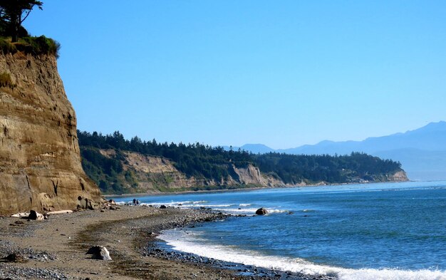 Photo comb the beach