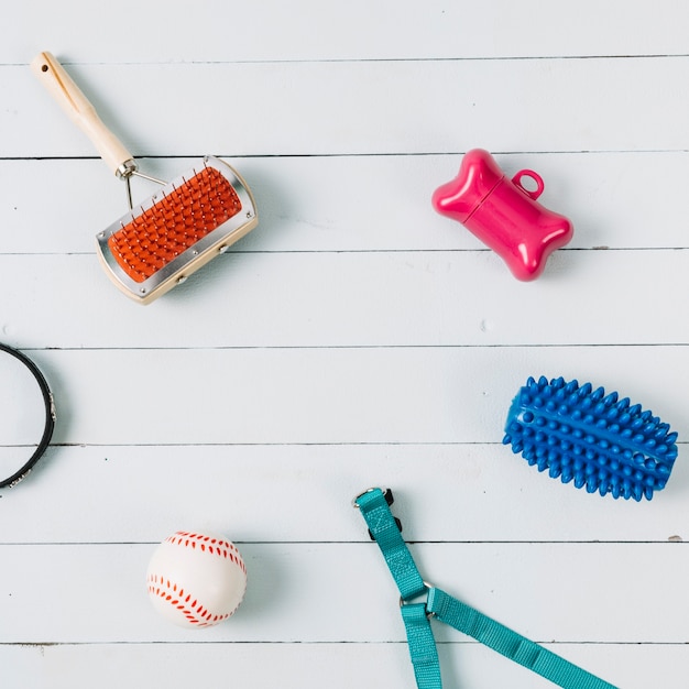 Comb and leash near dog toys