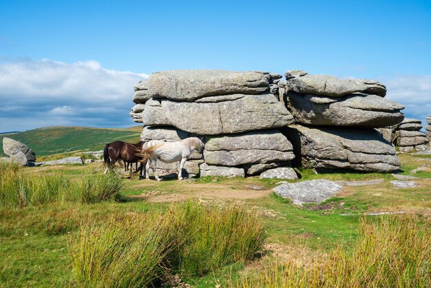 Combestone Tor in Devon