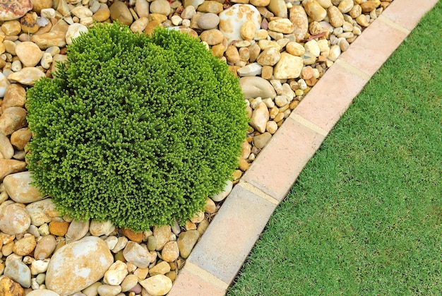 Combinations of lowmaintenance plants rocks and grass