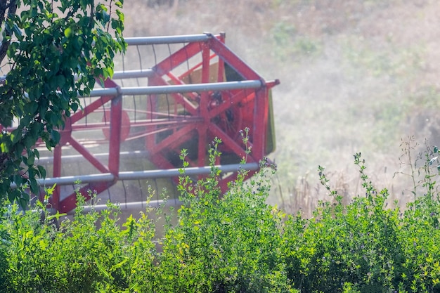 The combine in the field threshes the wheat crop Combine harvester close up