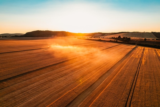 Combine harvester agriculture machine harvesting golden ripe wheat field The harvester is harvesting wheat in the field Grain preparation Agronomy and agriculture