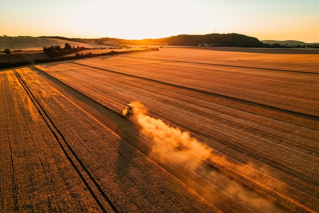 Combine harvester agriculture machine harvesting golden ripe wheat field The harvester is harvesting wheat in the field Grain preparation Agronomy and agriculture