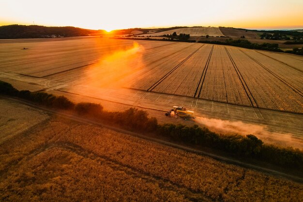 黄金の熟した小麦畑を収穫するコンバイン農業機械 ハーベスターは、畑で小麦を収穫しています 穀物の準備 農学と農業