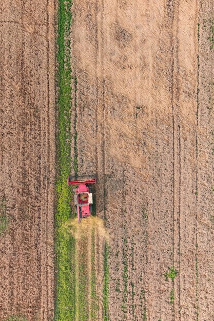 Combine harvester agriculture machine