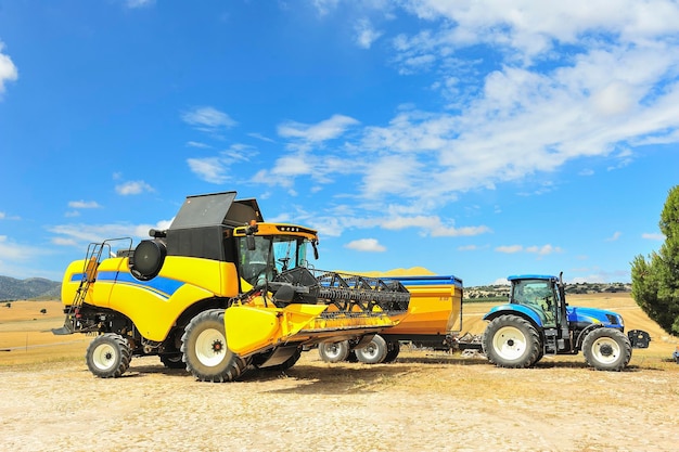 Combine harvester collecting grain in a cereal field