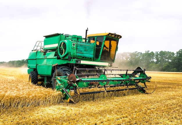 Combine harvester collects ripe wheat. Agriculture