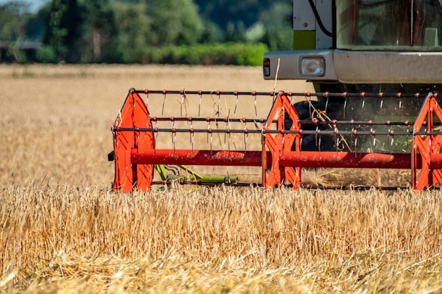 Foto combinatrice in azienda agricola