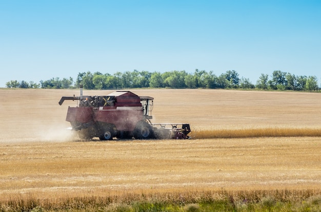 Photo combine harvester in a field