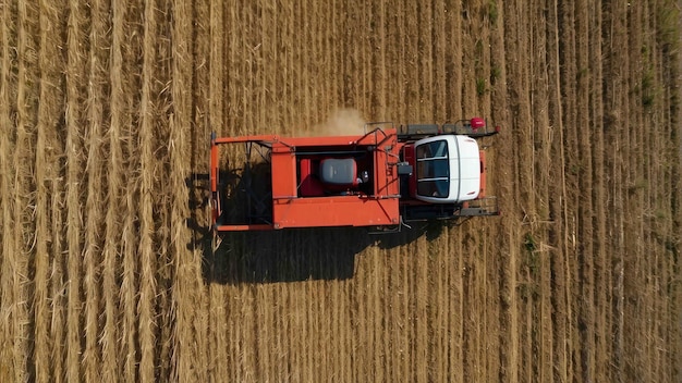 Photo combine harvester from a birds eye view in field