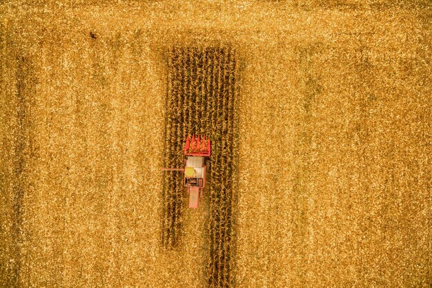 Photo combine harvester from above