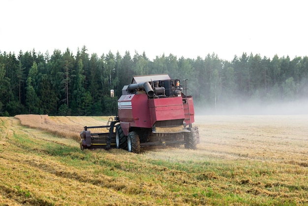 Mietitrebbia che raccolgono colture di cereali nel campo messa a fuoco selettiva