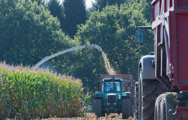 Photo combine harvester harvesting in farm