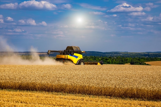 Combine harvester harvesting ripe wheat Harvesting in Ukraine during the war and the world crisis for grain