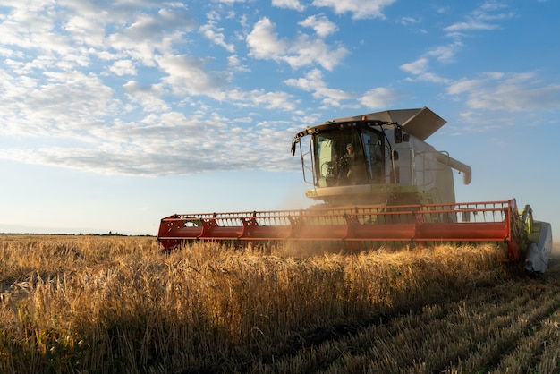 Комбайн собирает урожай спелой пшеницы. изображение сельского хозяйства