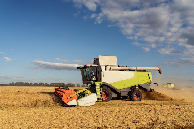 Combine harvester harvests ripe wheat. agriculture image