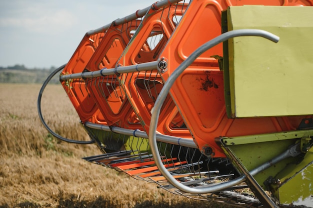 Photo combine harvester harvests ripe wheat agriculture