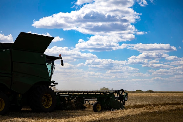 Combine harvester harvests ripe wheat. agriculture.