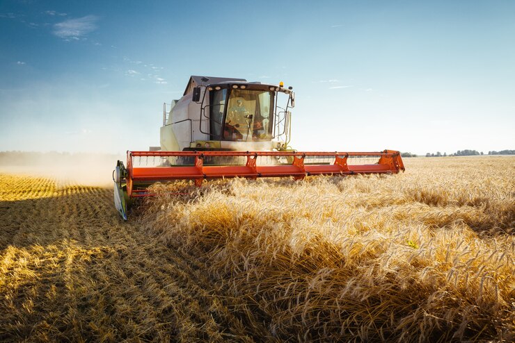 Photo combine harvester harvests ripe wheat. concept of a rich harvest. 