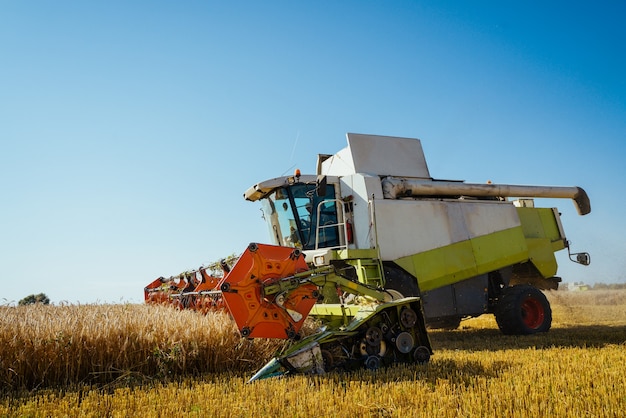 Combine harvester harvests ripe wheat ripe ears of gold field on the sunset cloudy orange sky