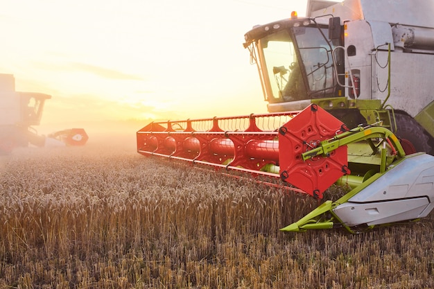 Combine harvester harvests ripe wheat.