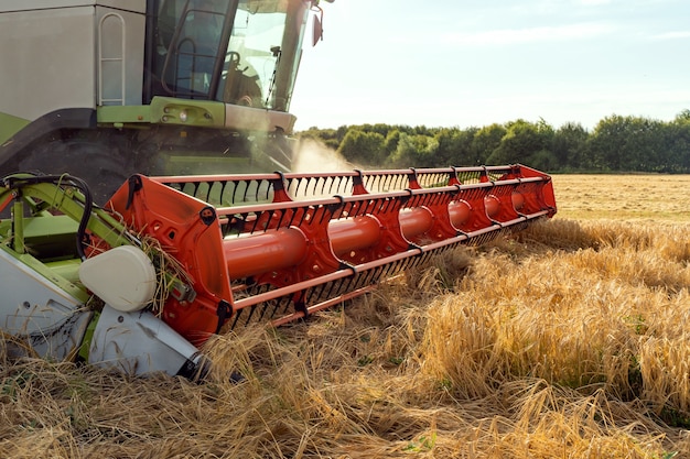 Combine harvester harvests ripe wheat