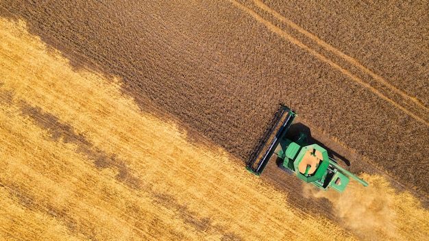 Зерноуборочный комбайн собирает пшеницу в поле