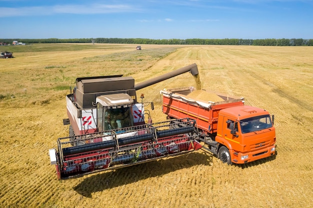 Photo a combine harvester loads grain onto a truck in a wheat field