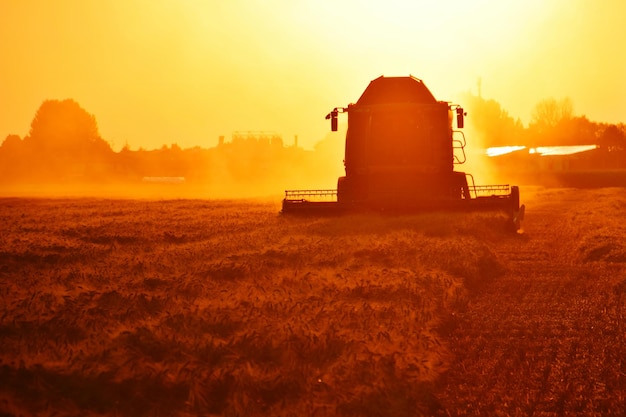 Combine harvester op het veld tegen de hemel tijdens zonsondergang