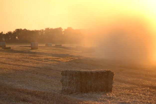 Foto combinare la mietitrice che preme la paglia dal campo in balle che guidano il campo in un soleggiato campo estivo serale