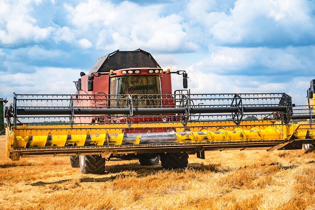 Combine harvester stands on cereal field