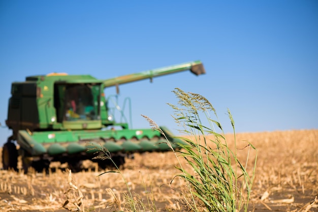 Combine harvester in wheat field on autumn day