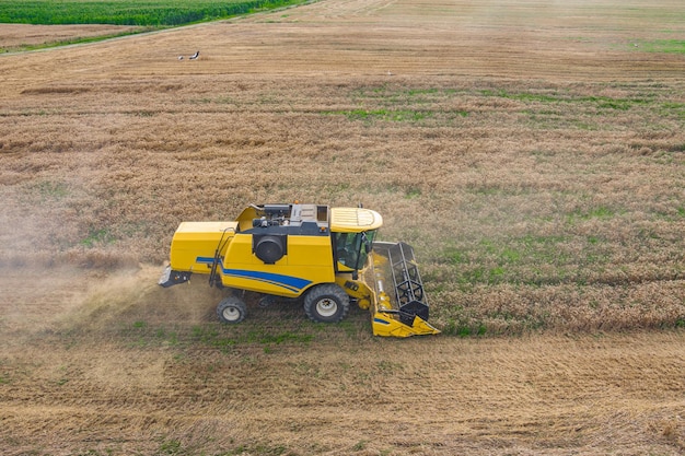 Combine harvester on the wheat field