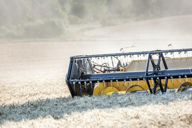 Photo combine harvester in work on wheat field