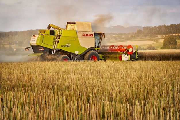 Mietitrebbia che lavora su un campo