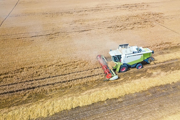 Mietitrebbiatrice lavorando su un campo di grano. vista aerea della mietitrebbiatrice.