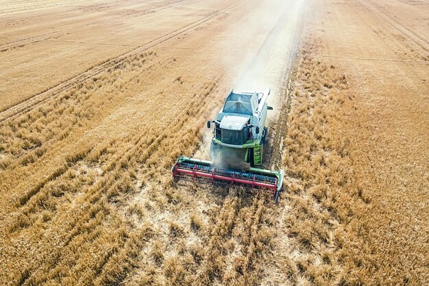 Mietitrebbiatrice lavorando su un campo di grano. vista aerea della mietitrebbiatrice.