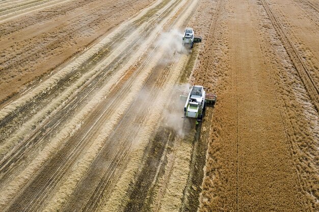 Combine harvester working on a wheat field. Combine harvester Aerial view.