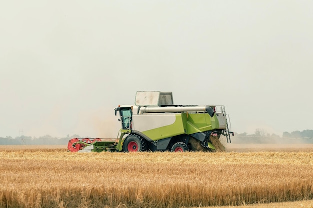 Combine harvester working on a wheat field. Harvesting wheat.