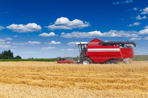 Combine harvester working