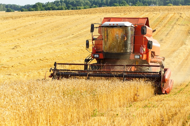 Combine harvester