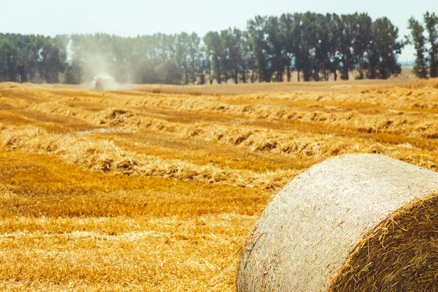 Combine harvester