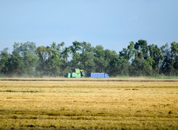 Photo combine harvesters agricultural machinery