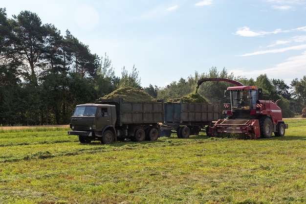 Combine harvesting a green field and unloads wheat for Silage onto a double trailer truck.